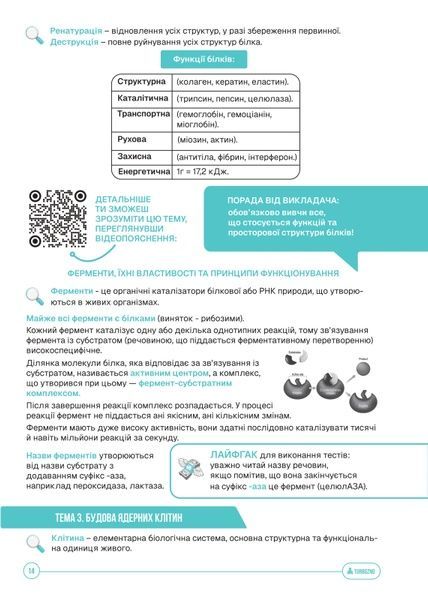 Конспект з біології &laquo;TURBO&raquo;: Твій еволюційний стрибок до 200 балів! 🧬🌿 119686685 фото